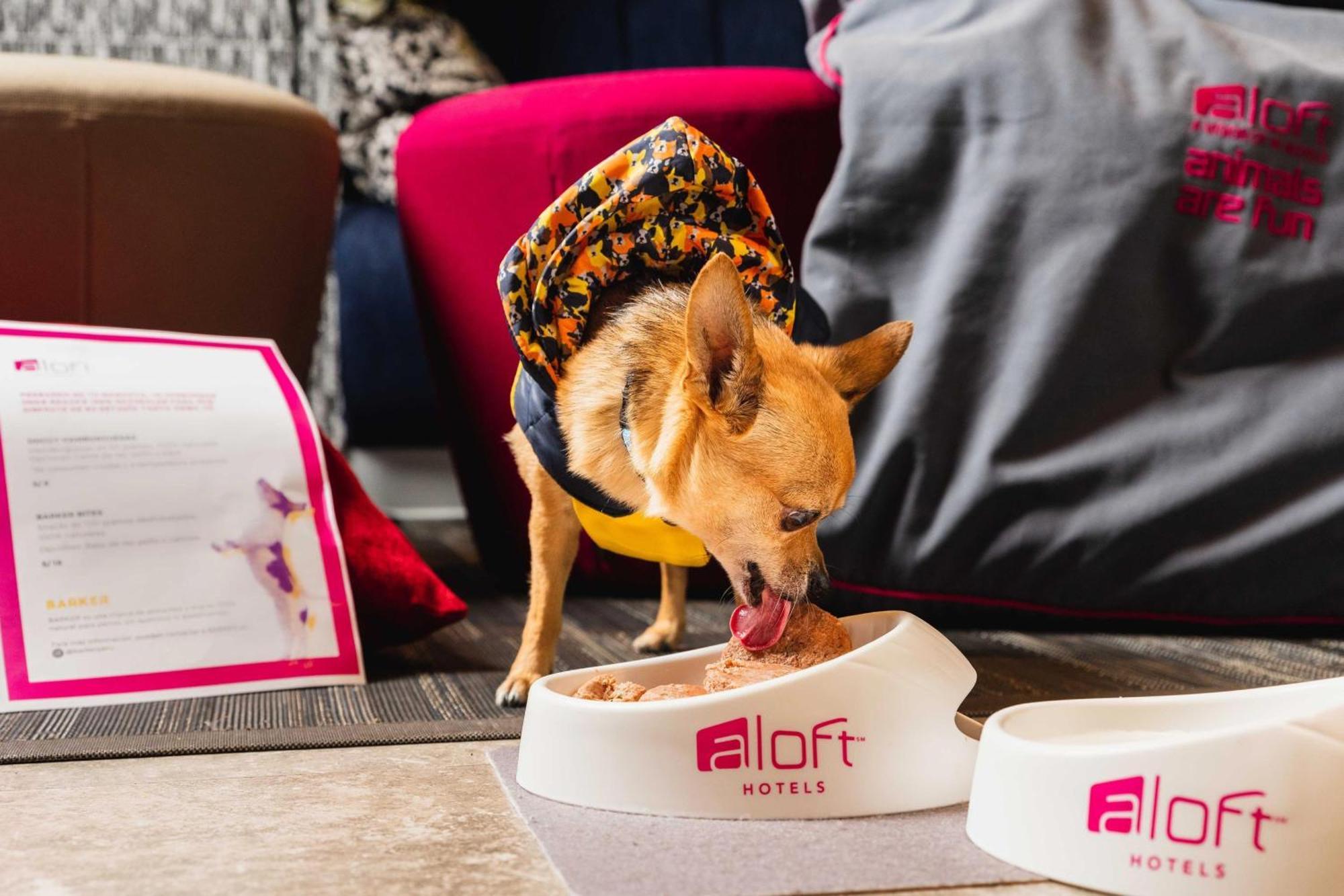Aloft Miraflores Hotel 4*